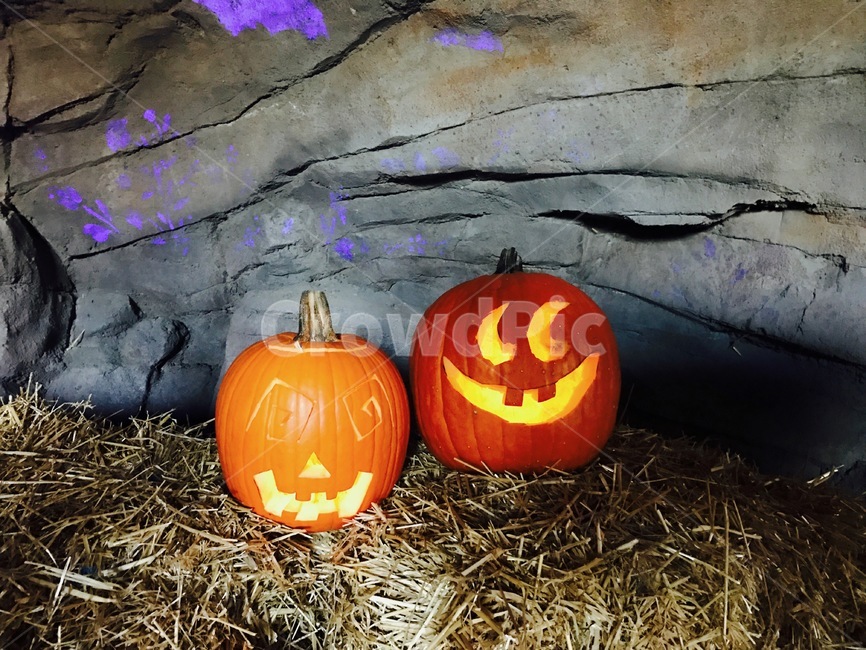 할로윈,halloween,호박,할로윈호박,미국,호박유령,호박램프