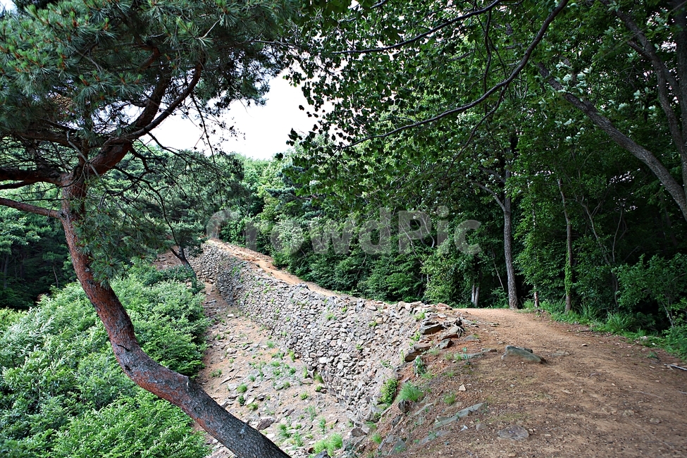전등사,전등사둘레길,길,돌담,성곽,풍경