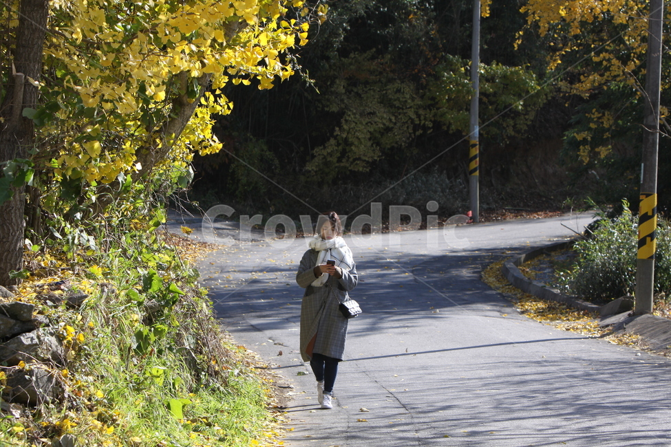 가을,단풍,사람,여자,가을풍경,자연,풍경,nature,landscape,사람,인물,인간,human,person,여성,여자,woman,female,lady