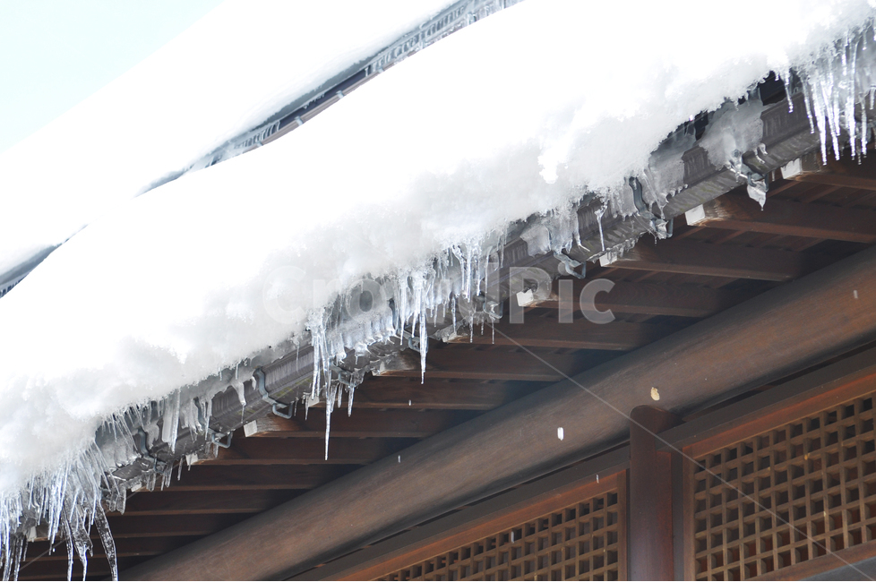 고드름,일본,시라카와고,일본고드름,일본겨울,겨울,계절,winter,season