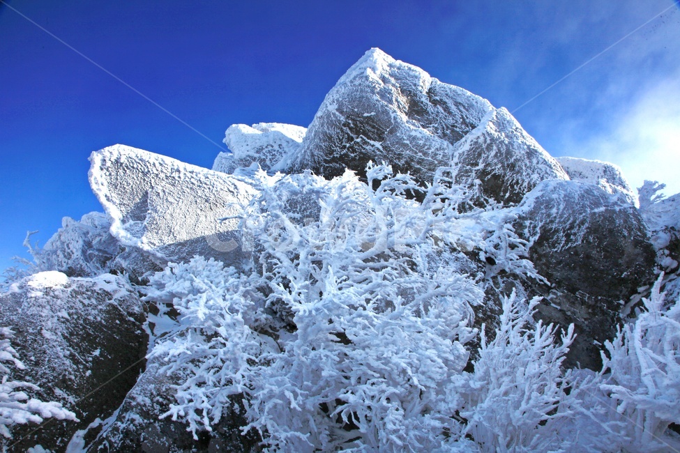 tree,나무,plant,식물,nature,자연,outdoors,옥외,ice,빙,snow,눈,mountain,산,mountainrange,산맥,상고대,무주,덕유산,덕유산설경,설경,설천봉,향적봉,중봉,덕유산국립공원,운해,겨울,계절,winter,season,자연,풍경,nature,landscape