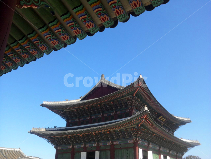 전통,궁궐,경복궁,전통건축,단청