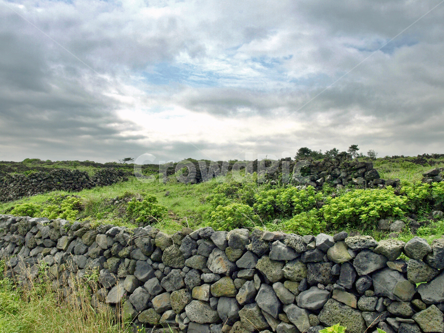 제주,올레19코스,올레길,조천농로,돌담,자연,풍경,nature,landscape,제주도,jeju,jeju island,wall,벽