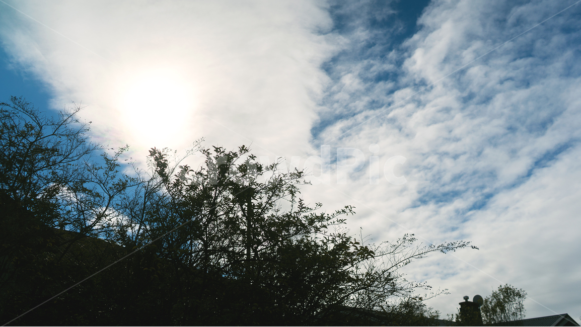 flare,플레어,light,빛,sunlight,햇빛,하늘,sky,nature,자연