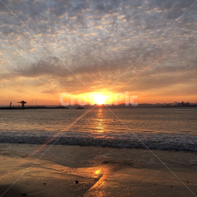 일출,해,바다,모래,새해,자연,풍경,nature,landscape,해변,바다,beach,sea,outdoors,옥외,dusk,황혼,sunset,일몰,sky,하늘,dawn,새벽,red sky,붉은 하늘