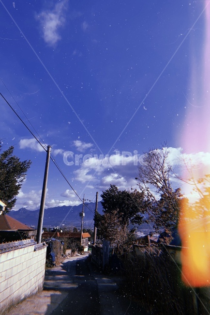 감성,하늘,나무,골목,sky,cloud,구름