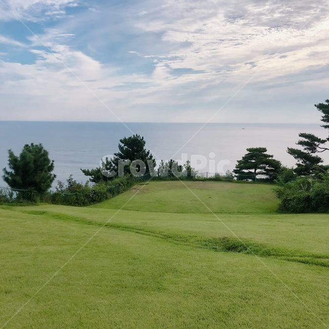 바다,하늘,해변,파도,beach,wave,cloud,구름,자연,내추럴,natural,빛,태양,반사,물결,난간,다리,하늘다리,sky,수평선,field,들,옥외,outdoors,들판,잔디