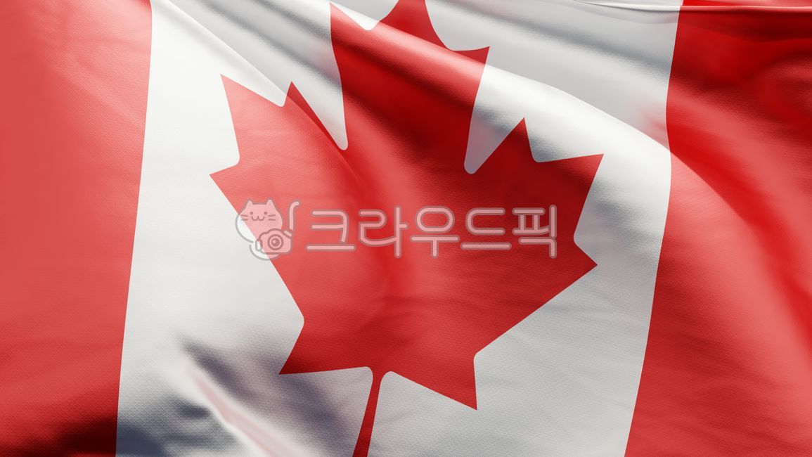 캐나다,국기,국가,휘날리는,애국,애국심,나라,flag,깃발,symbol