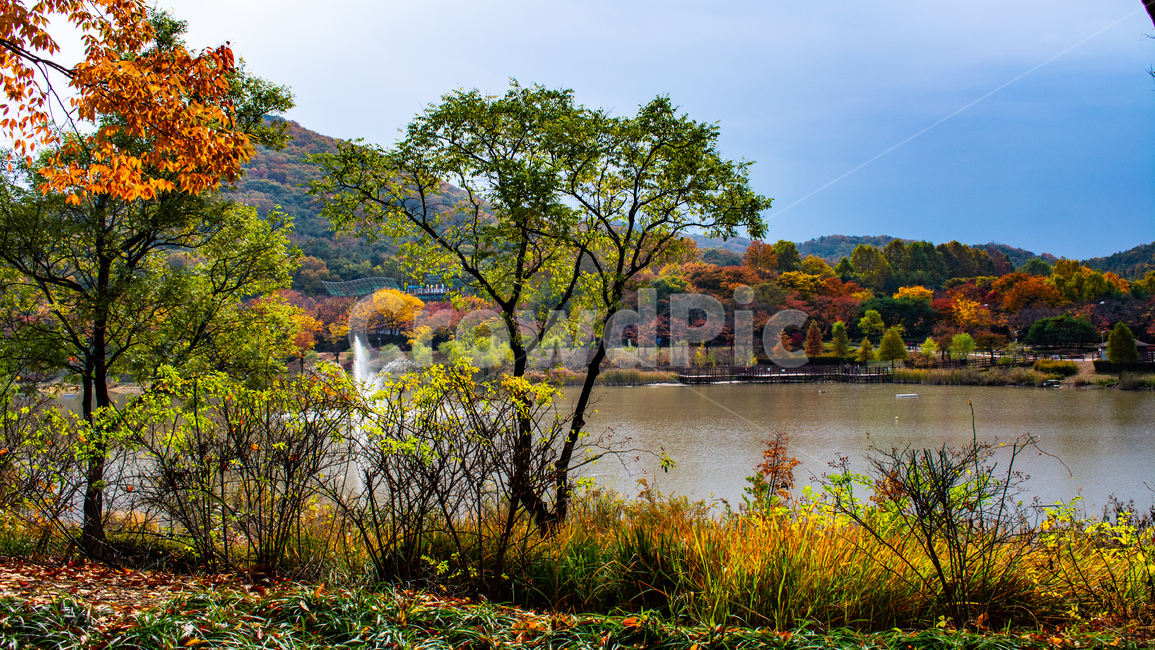 가을,만추,낙엽,호수,분수,인천대공원,가을,계절,fall,autumn,season,nature,자연,outdoors,옥외,water,물