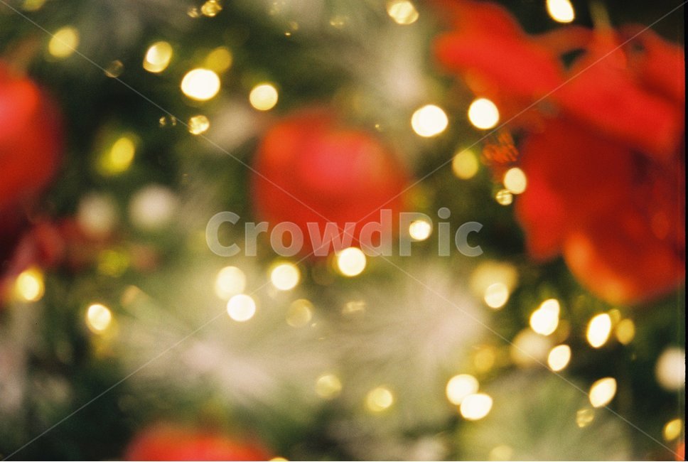 전구,크리스마스,트리,감성사진,필름카메라,필름,빛,겨울,계절,winter,season,기념일,축하,anniversary,congratulation,celebrate,celebration,메리크리스마스,성탄절,merry christmas,감성,sensible,feeling