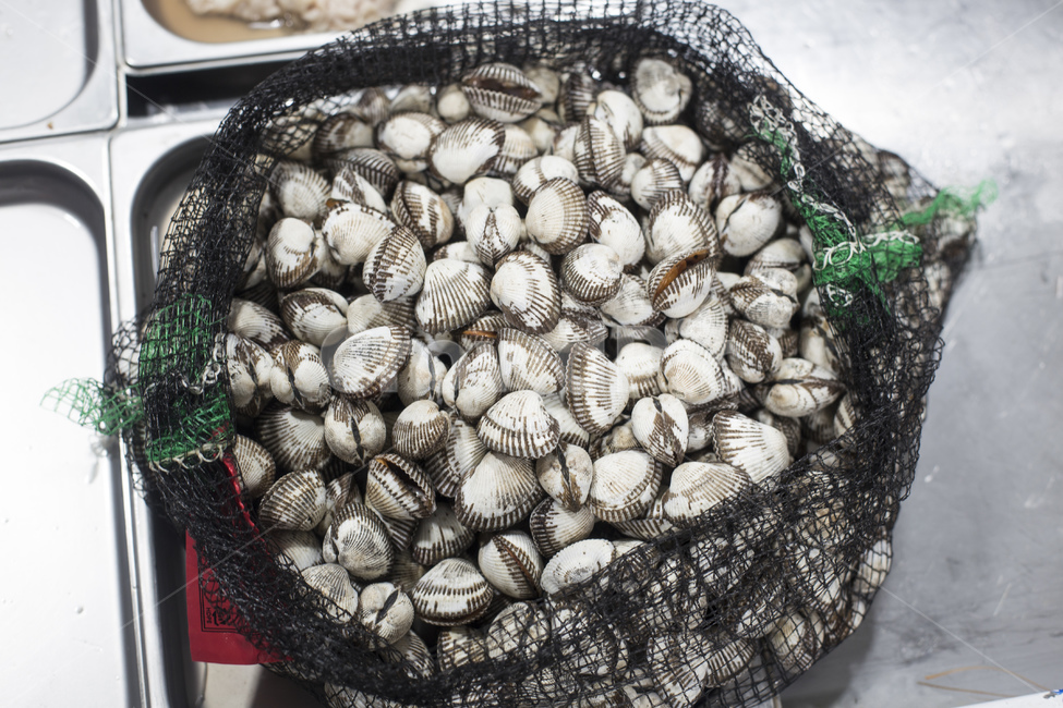 꼬막,조개류,어패류,식재료,해산물,망,망태기,음식,식재료,요리,food,cook,meal,dishes,food reserves,수산물,해산물,fishery products,seafood