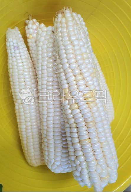 yellow corn,corner,raw corn,white corn,snack,corn,grain