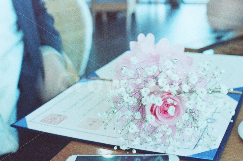 졸업,꽃,장미,스냅,필름,FM2,ADOXColorImplosion100,식물,자연,plants,nature,꽃,flower,기념일,축하,anniversary,congratulation,celebrate,celebration,감성,sensible,feeling,교육,학교,공부,education,learning,study,school