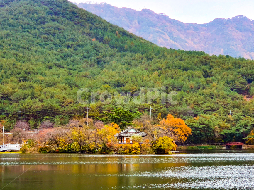 nature,자연,outdoors,옥외,water,물,산,나무,풍경