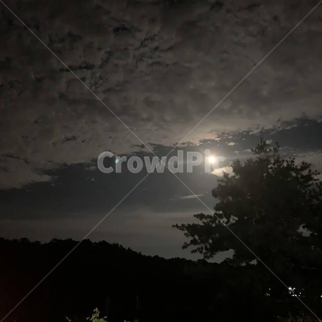 weather,날씨,구름,자연,cloud,outdoors,sky,하늘,맑음,달,moon,야경,밤,풍경,nightscape,night,landscape,nature,옥외