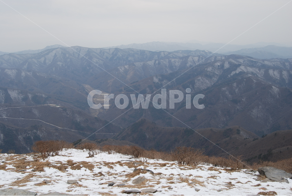 태백산,자연휴양림,겨울,태백시,국립공원,거제수나무,겨울,계절,winter,season,자연,풍경,nature,landscape,한국자연풍경,한국자연경관,korea nature landscape,mountain,산,mountain range,산맥,outdoors,옥외,plateau,고원,slope,경사
