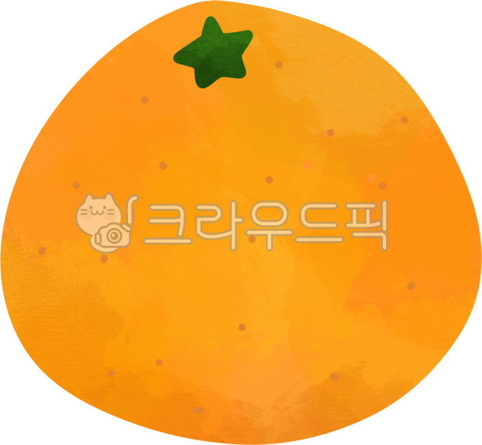 과일,열매,귤,만다린,금귤,오렌지