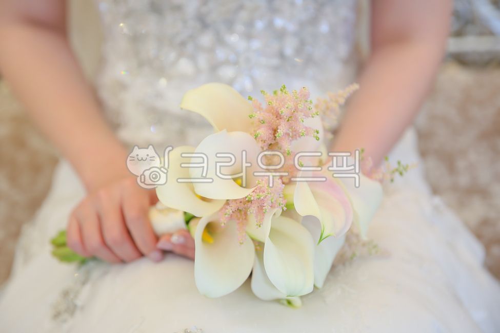 flower,식물,blossom,꽃,plant,부케,카라,카라꽃,결혼식,결혼식부케,카라부케