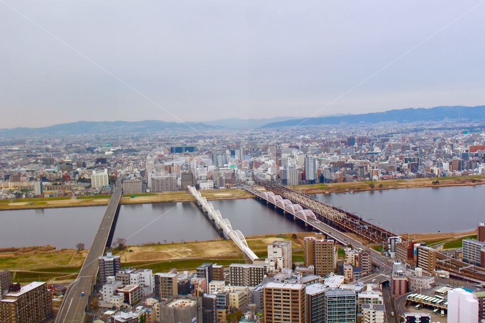 도시,건물,빌딩,하늘,도심,도시,풍경,city,landscape