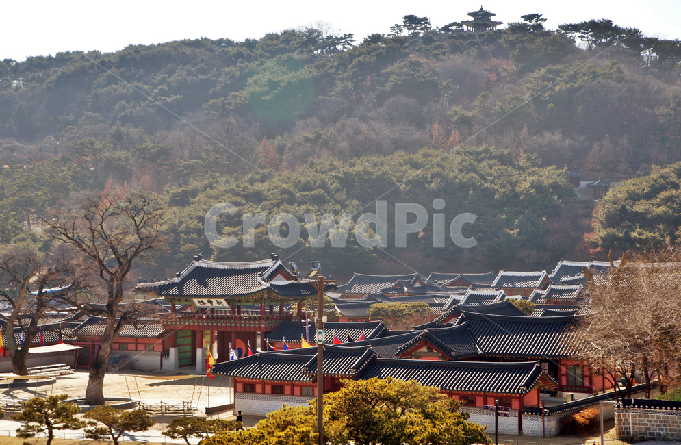 화성행궁,행궁,수원,궁궐,궁,팔달산,화성장대,한국전통,한국문화,korean traditional,korean culture,랜드마크,landmark,tourist attraction,한국랜드마크,한국관광지,한국명소,korea landmark,korea tourist attraction,건축물,건물외관,exterior,building,structure,architecture,construction