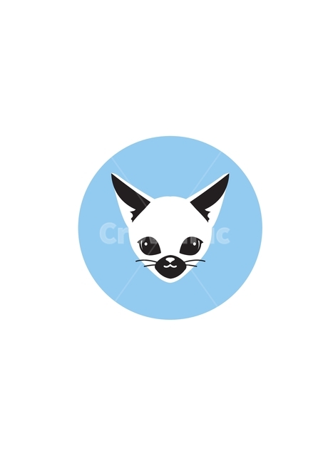 graphics,이름표,반려동물이름표,스티커,sticker,pet,고양이,야옹이,cat,반려동물,동물캐릭터,캐릭터일러스트,귀여운동물,동물,animal,cute,동물병원,고양이캐릭터,야옹,bluecolor,고양이얼굴,고양이로고,고양이스티커,고양이일러스트,catillust,동물일러스트,illustration,logodesign,고양이디자인,고양이간식,고양이장난감,캐릭터,반려동물디자인,다꾸,다이어리꾸미기,그래픽,일러스트레이션,graphic,illustration
