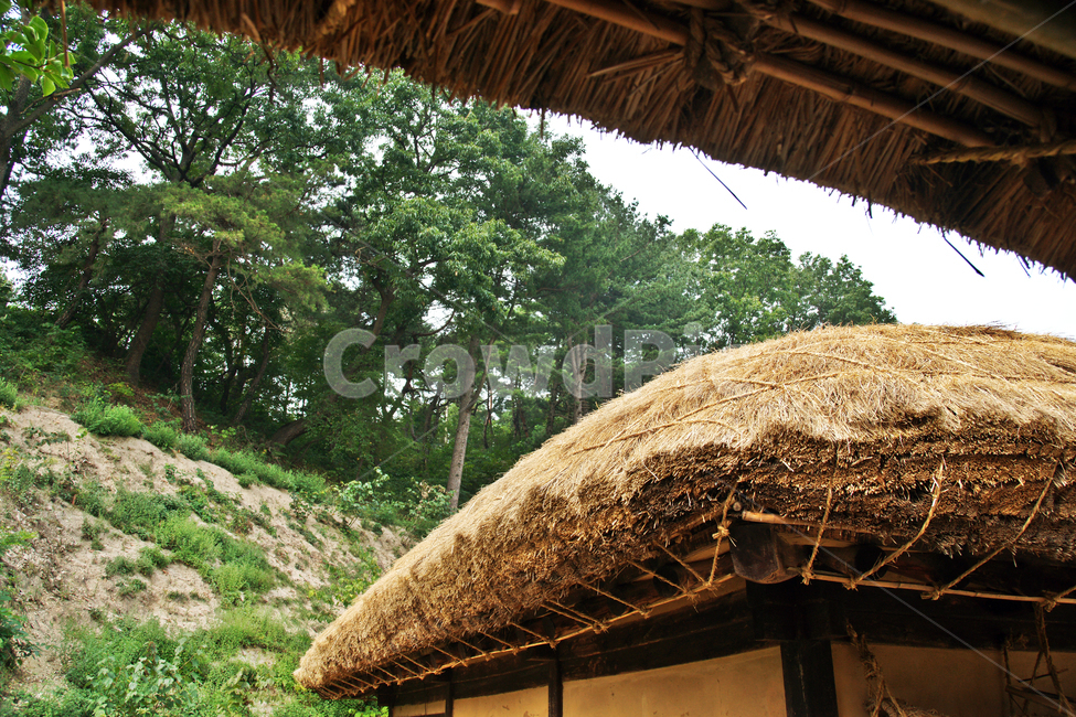 초가,짚,서민,지붕,전통가옥,한국문화,한국전통,한국문화,korean traditional,korean culture,건축물,건물외관,exterior,building,structure,architecture,construction