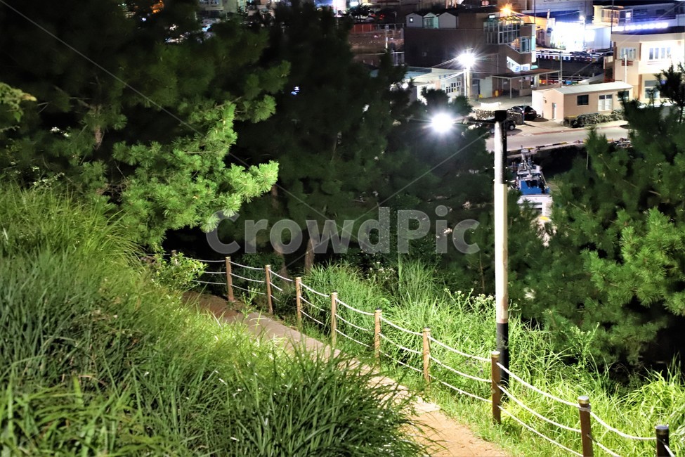 산책실,오름,운동,가을,한적함,자연,풍경,nature,landscape,야경,밤,nightscape,night