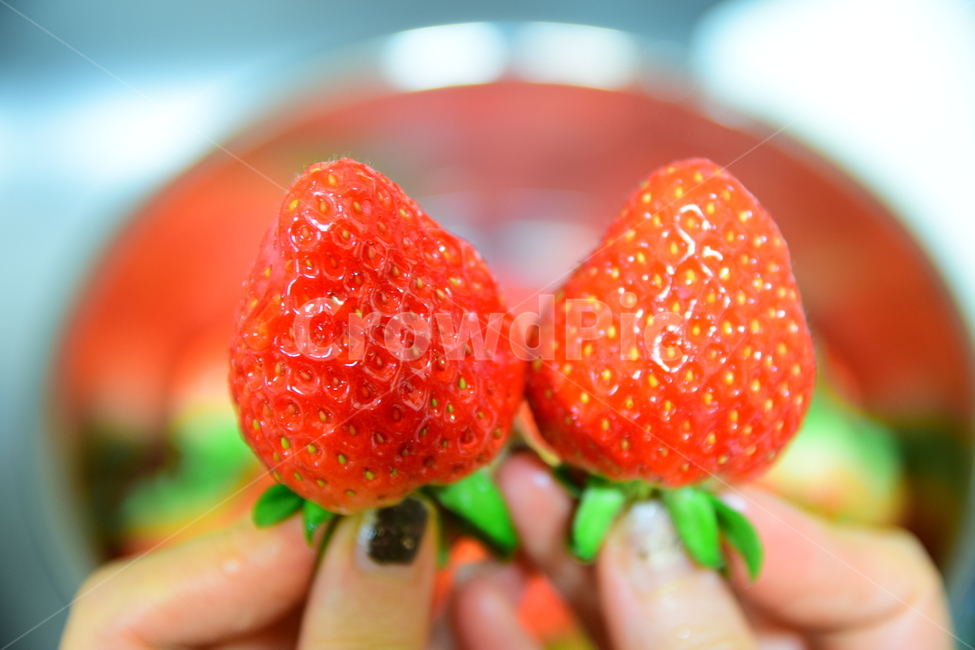 딸기,꼭지,빨강,손,접사,클로즈업,딸기씨,strawberry,hand,closeup,음식,맛있는,식재료,과일,채소