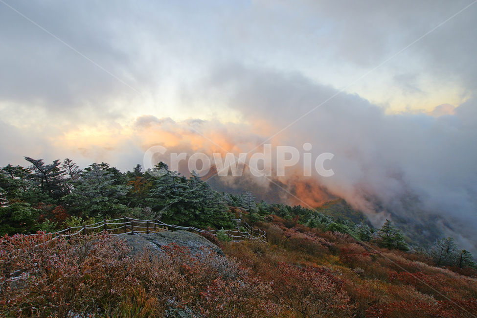 지리산,반야봉,일출,운해,단풍,자연,풍경,nature,landscape,weather,날씨,outdoors,옥외