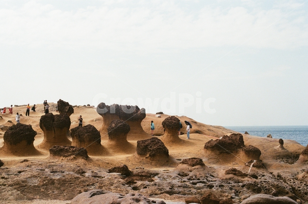 예류지질공원,국립공원,대만,지질공원,바위,바다,자연,풍경,nature,landscape,해외,외국,세계,foreign,oversea,world,세계자연풍경,해외자연풍경,외국자연풍경,world nature landscape,ground,바닥,outdoors,옥외