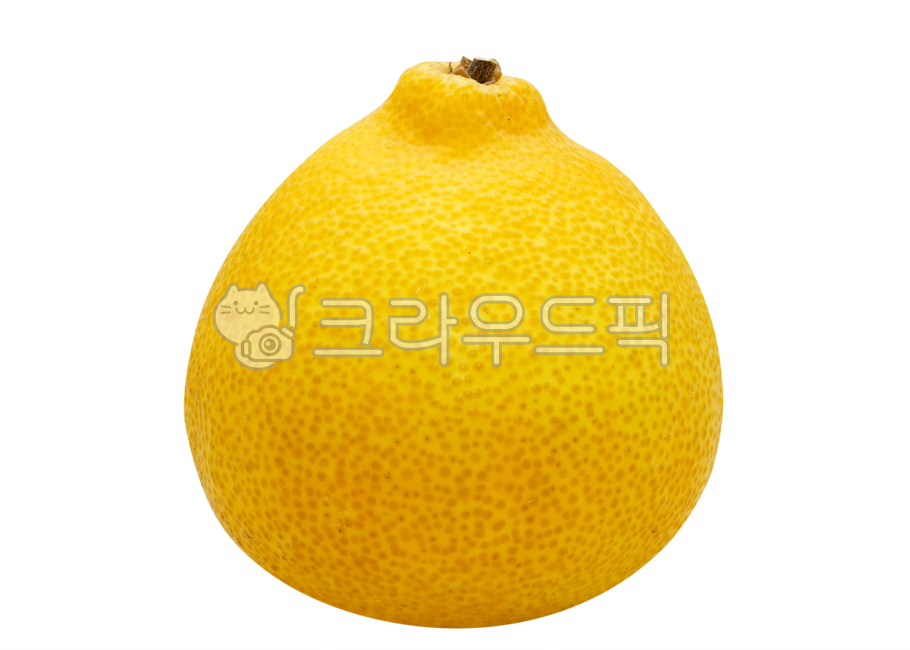 감귤,천혜향,과일,감귤류과일,fruit,citrusfruit,천혜향누끼,한라봉누끼