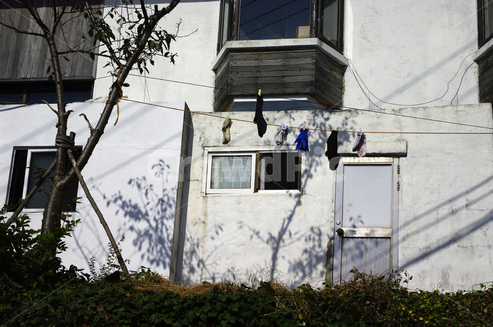 벽,빨리,문,건물,창문,건축물,건물외관,exterior,building,structure,architecture,construction