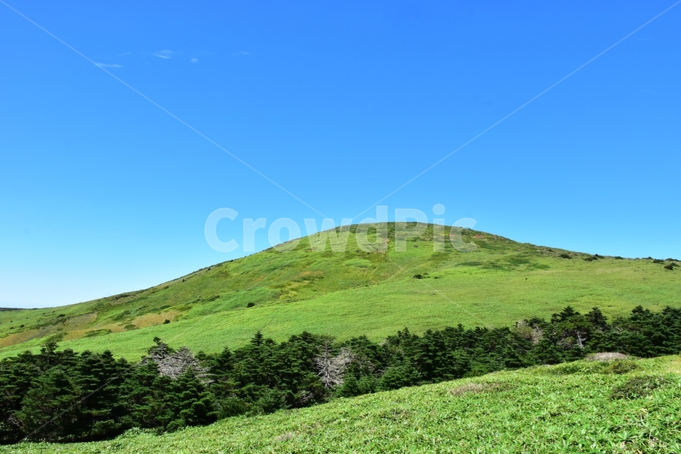 영실,한라산,제주,기암괴석,절경,자연,풍경,힐링,여름,계절,탐방,등산,남벽,윗세오름,season,nature,landscape,한국자연풍경,한국자연경관,korea,naturelandscape,제주도,jeju,jejuisland,자연,풍경,nature,landscape,한국자연풍경,한국자연경관,korea nature landscape,제주도,jeju,jeju island,outdoors,옥외,hill,언덕