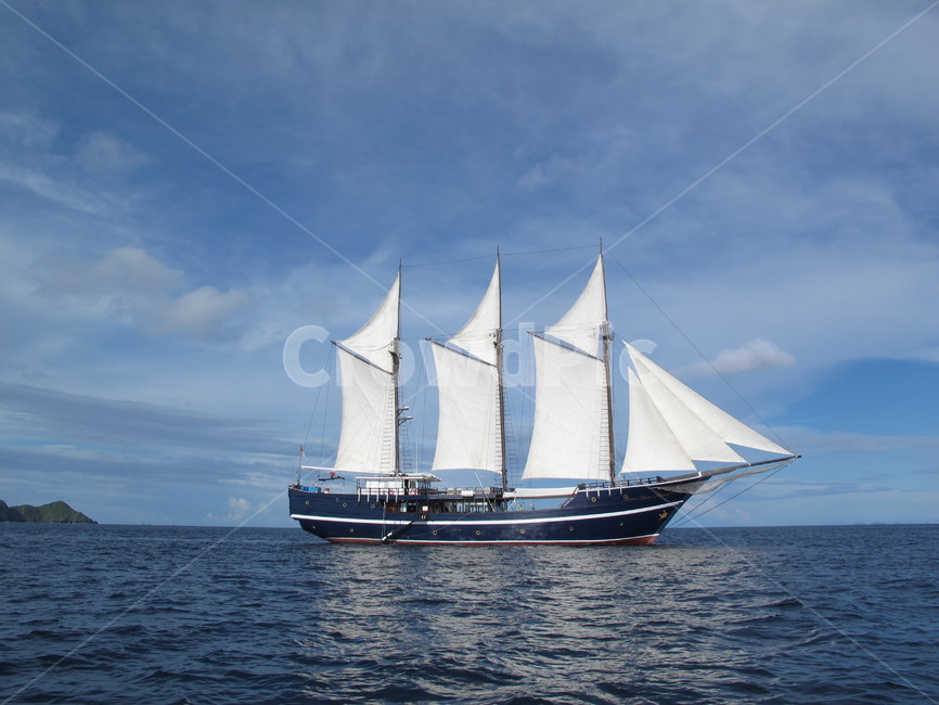 liveaboard,리브어보드,scubadiving,스쿠바다이빙,rajaampat,라자암팟,watercraft,선박,sailingship,돛단배