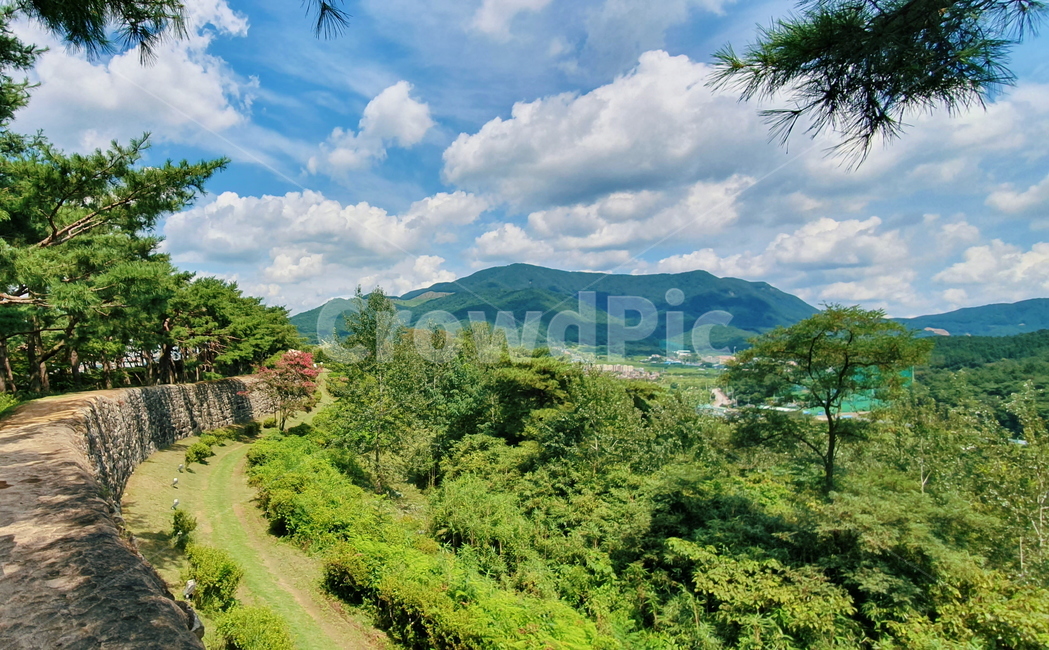nature,자연,outdoors,옥외,scenery,풍경,plant,식물,초목,tree,나무