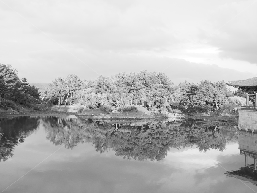 경주,안압지,관광지,연못,흑백사진,자연,풍경,nature,landscape,흑백,모노톤,monochrome,black and white,outdoors,옥외,water,물
