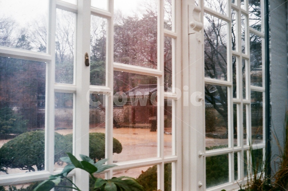 창경궁,창경궁대온실,대온실,필름사진,greenhouse,한국전통,한국문화,korean traditional,korean culture,랜드마크,landmark,tourist attraction,한국랜드마크,한국관광지,한국명소,korea landmark,korea tourist attraction