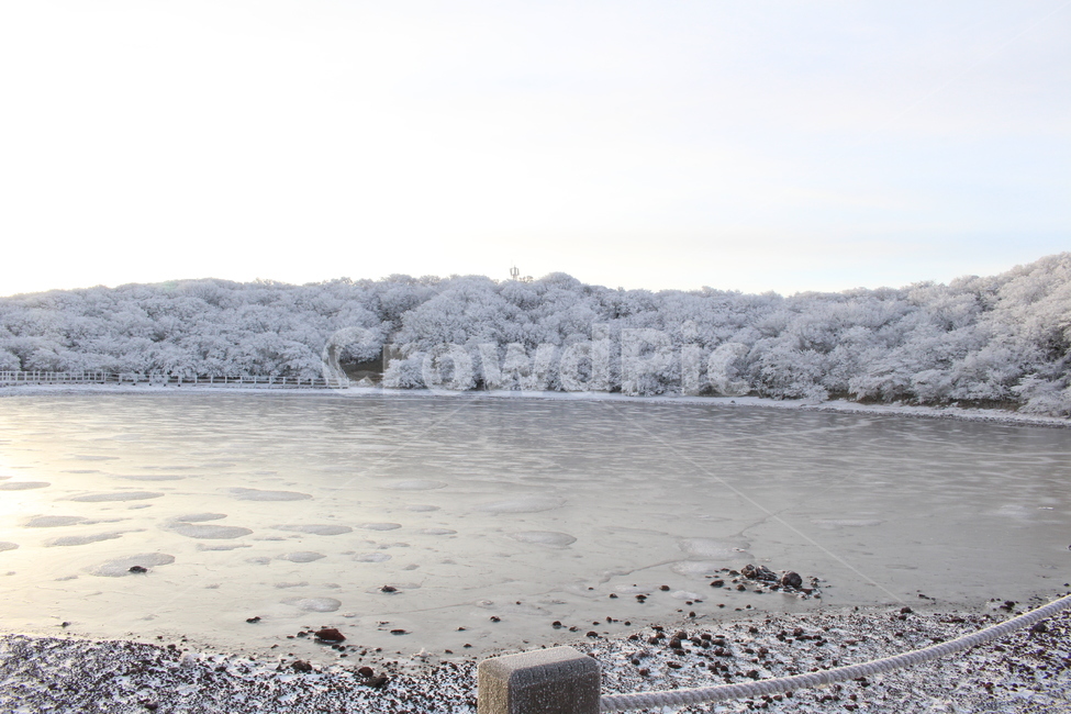 눈꽃,제주,한라산,눈,나무,겨울,계절,snow,호수,하늘,얼음,겨울,계절,winter,season