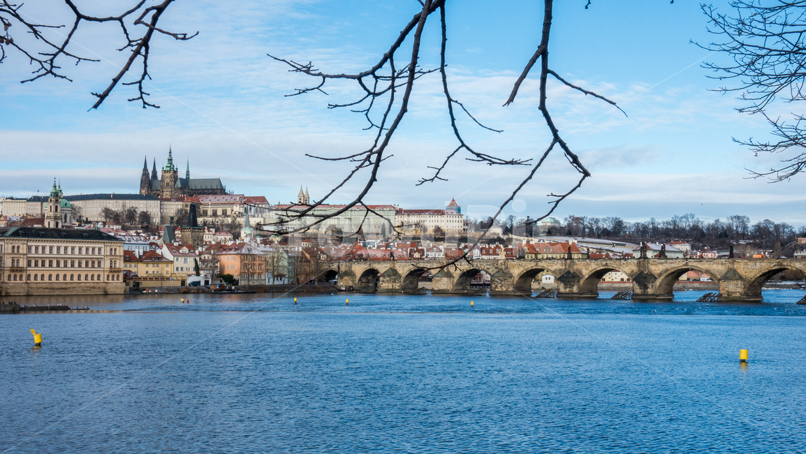체코,프라하,czech,praha,prague,architecture,tower,첨탑,탑,건축물,steeple,뾰족한탑,building,건물,spire,다리,까를교,프라하성,bridge,carlesbridge,prahacastle,도시,풍경,city,landscape,해외,외국,세계,foreign,oversea,world,세계도시풍경,해외도시풍경,외국도시풍경,world cityscape