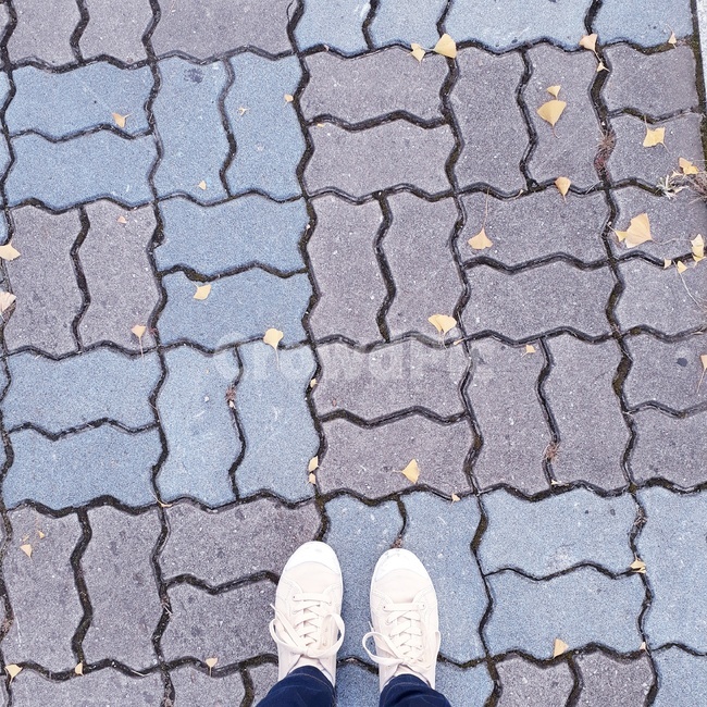 햇빛,햇살,자연광,산책,거리,가을,계절,fall,autumn,season,asphalt,아스팔트