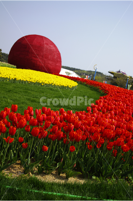튜울립,식물,flower,plants,nature,꽃,꽃밭,color,landscape,식물,자연,plants,nature,꽃,flower,조각상,동상,석상,조형물,statue,bronze statue,stone statue