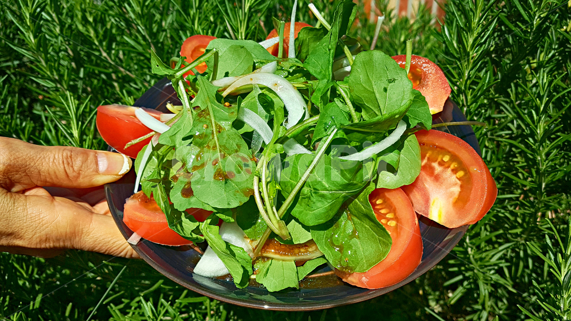 토마토루꼴라샐러드,토마토루콜라샐러드,샐러드,salad,요리,푸드,food,음식,음식,식재료,요리,food,cook,meal,dishes,food reserves,채소,야채,vegetables