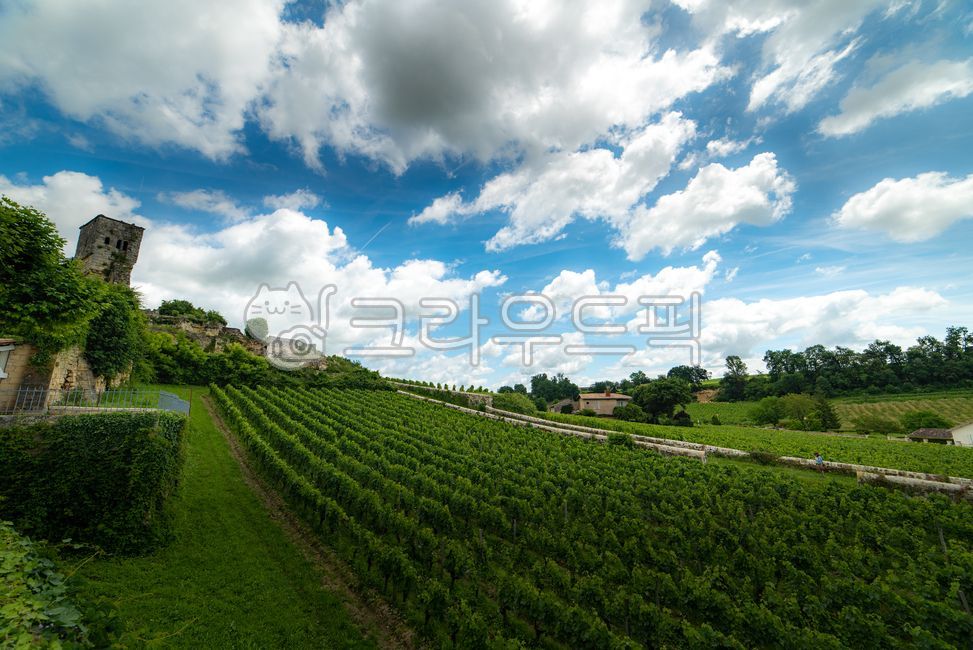 유럽,europe,프랑스,france,생떼밀리옹,saintémilion,saintemilion,와인마을,winevillage,세계문화유산,worldheritage,포도밭,vinyard,wine,와인,보르도,보르도와인,bordeaux,bordeauxwine,프랑스남부,마을,villige,감성,느낌,경치,landscope,자연,nature,outdoors,옥외