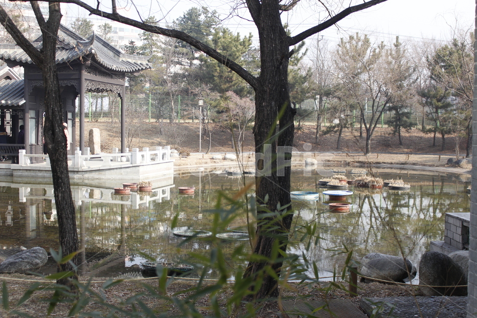 water,물,연못,정자,중국정원