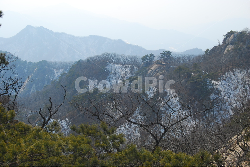 눈,snow,tree,winter,겨울,겨울,계절,winter,season,자연,풍경,nature,landscape,한국자연풍경,한국자연경관,korea nature landscape,나무,plant,식물,outdoors,옥외