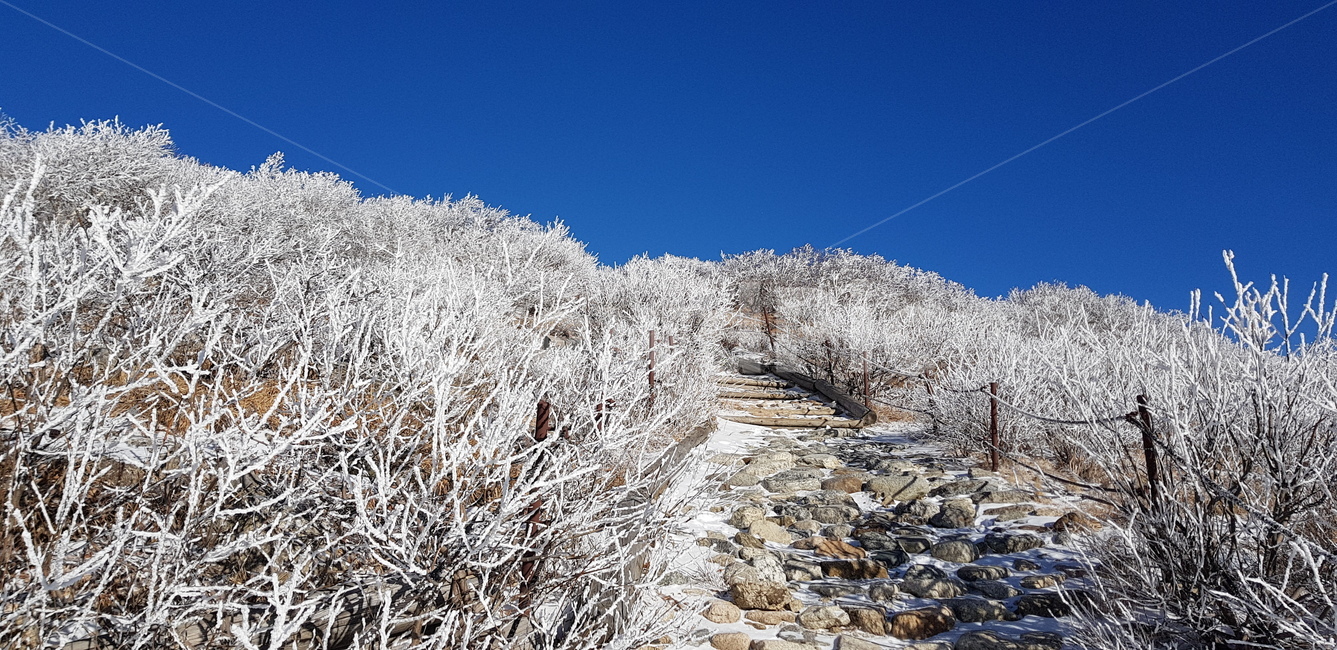 설악산,겨울풍경,겨울,눈꽃,배경,풍경