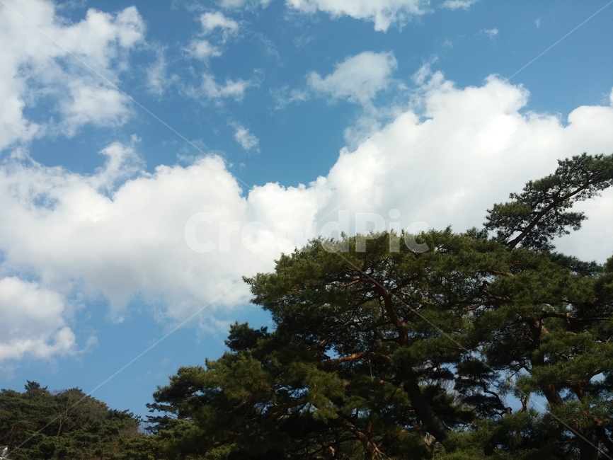 nature,자연,하늘,구름,옥외,여행,힐링,자연경관,즐거움,맑은날씨,깨끗함,편안함,치유,자연,풍경,nature,landscape,weather,날씨,outdoors