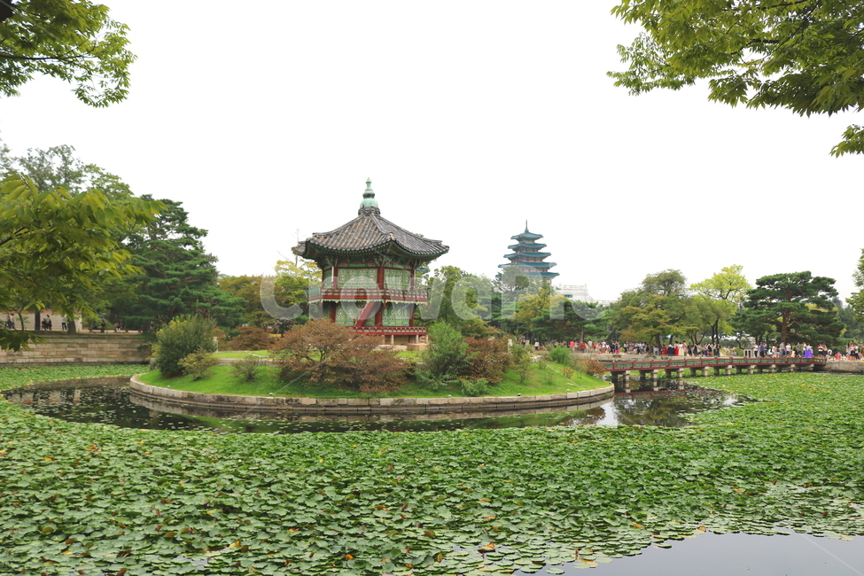 경복궁,팔각정,연못,광화문,나무,연잎,물,서울,한국전통,한국문화,korean traditional,korean culture,랜드마크,landmark,tourist attraction,한국랜드마크,한국관광지,한국명소,korea landmark,korea tourist attraction