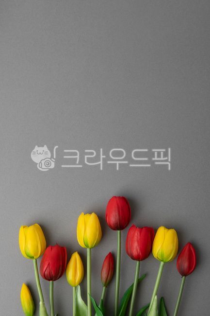 harmony,deco,beauty,concept,yellow,branch,interior,spring,red,petal,gray,design,season,decoration,organic,combination,green,nature,tree,tulip,flower,grey,elegance,closeup,background,plant,colorful,stem