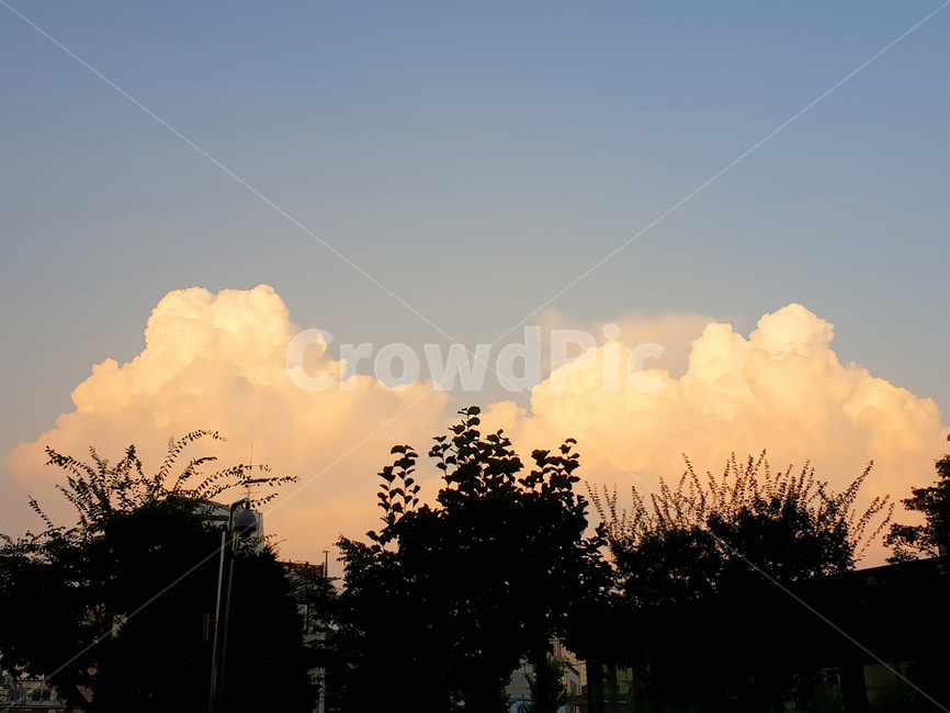 날씨,weather,cloud,구름,sky,하늘,색감,필카,예쁜구름,노을,스냅사진,봄